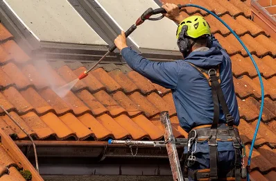 Démoussage et hydrofuge de toiture à Ménil